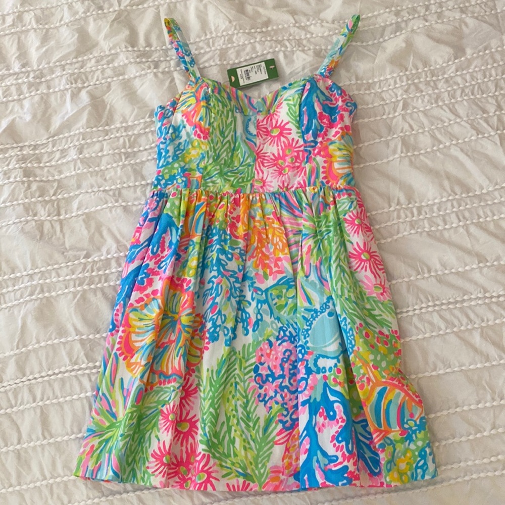 NWT Lilly Pulitzer Ardleigh Dress Size 4